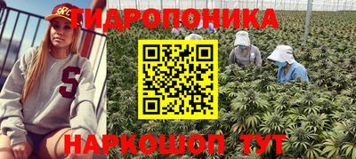 мет Будённовск