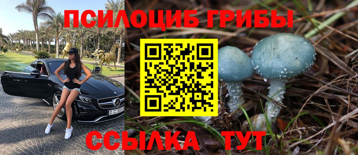 Псилоцибиновые грибы GOLDEN TEACHER Артёмовский